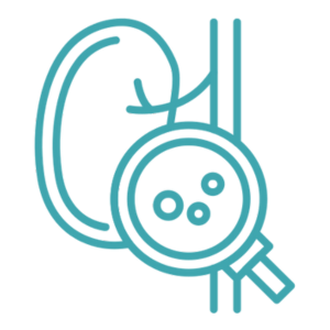 Cálculos Urinários e Infecções